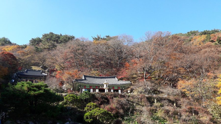 석굴암