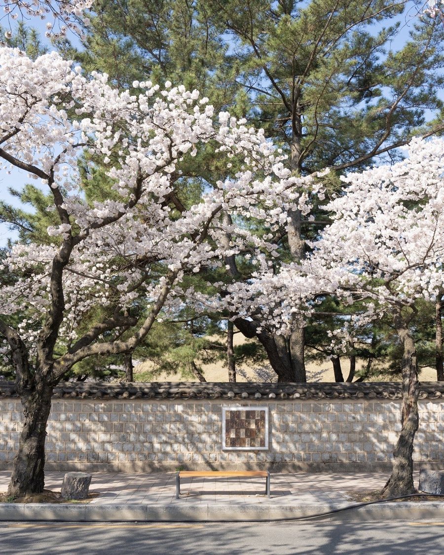 대릉원 돌담길